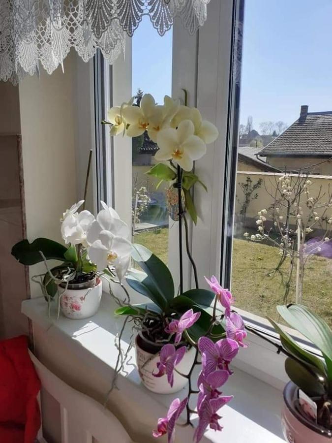 Aranyoshaz-Vendeghaz Appartement Boedapest Buitenkant foto